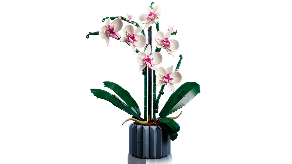 Orquídea – 608 peças